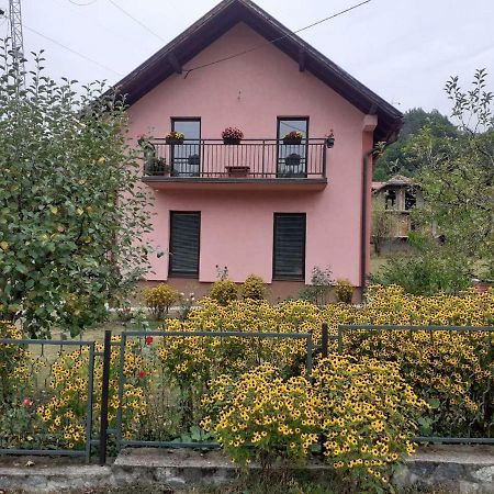 Rooms Violeta Mokra Gora Bagian luar foto