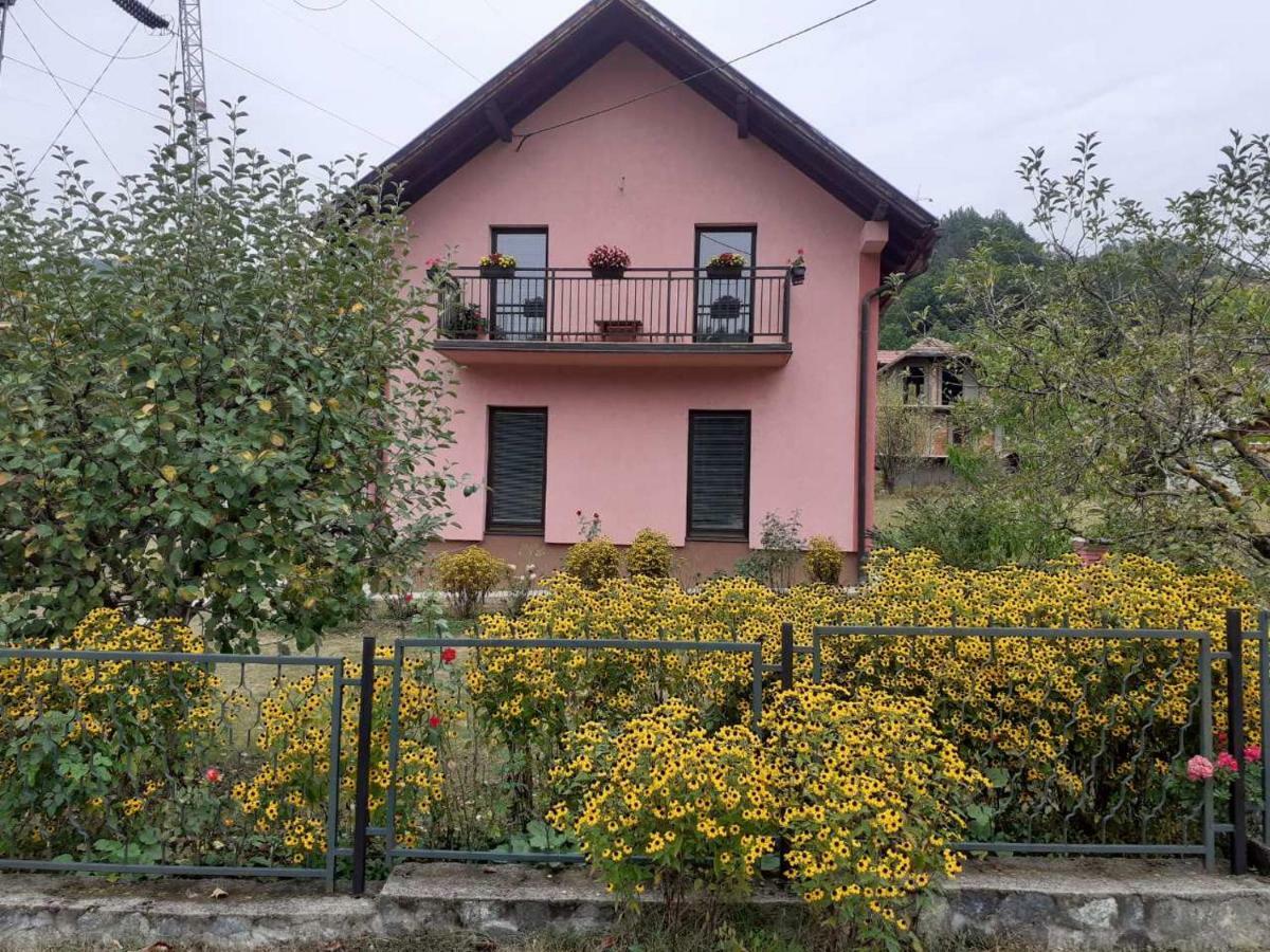 Rooms Violeta Mokra Gora Bagian luar foto